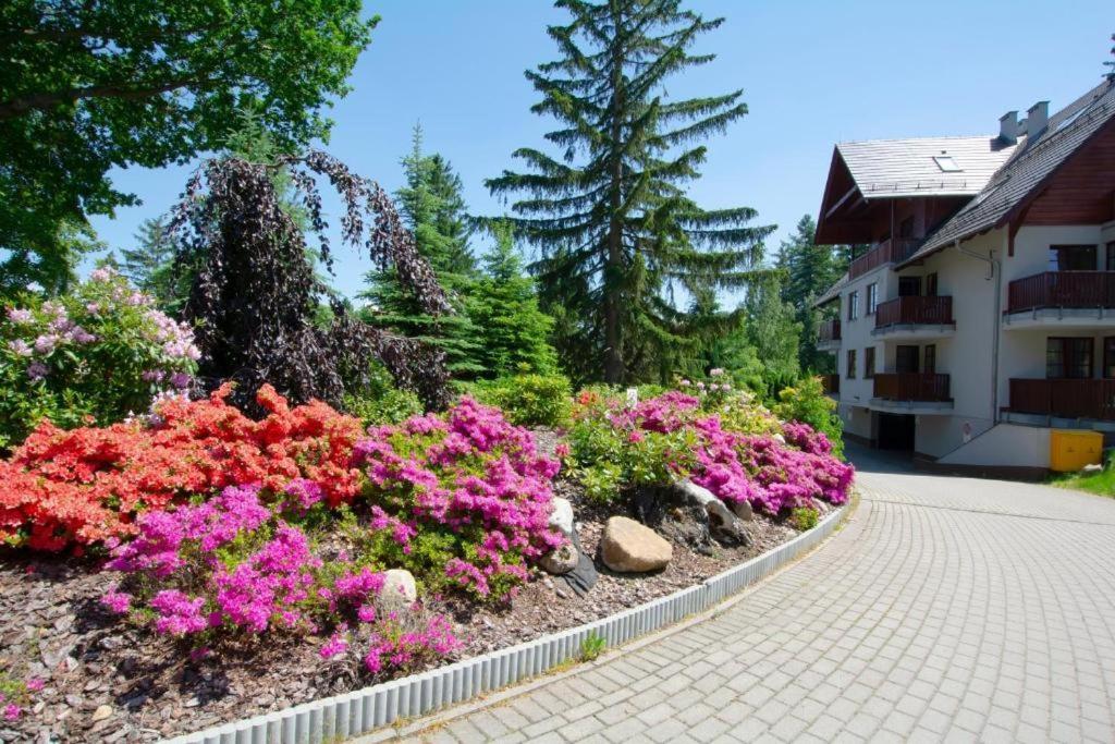 Apartament Polana-Karpacz Kültér fotó